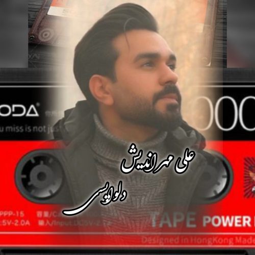 دانلود آهنگ جدید علی مهراندیش با عنوان دلواپسی